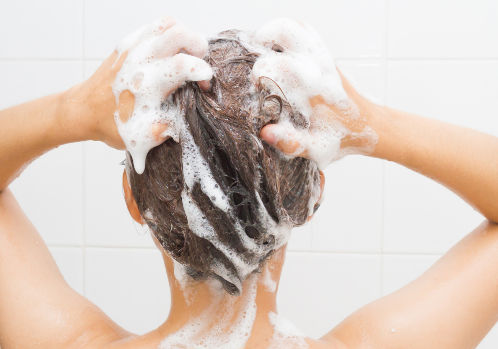 matiz vendedor Democracia Cómo lavar mi cabello adecuadamente? – Casa del Estilista