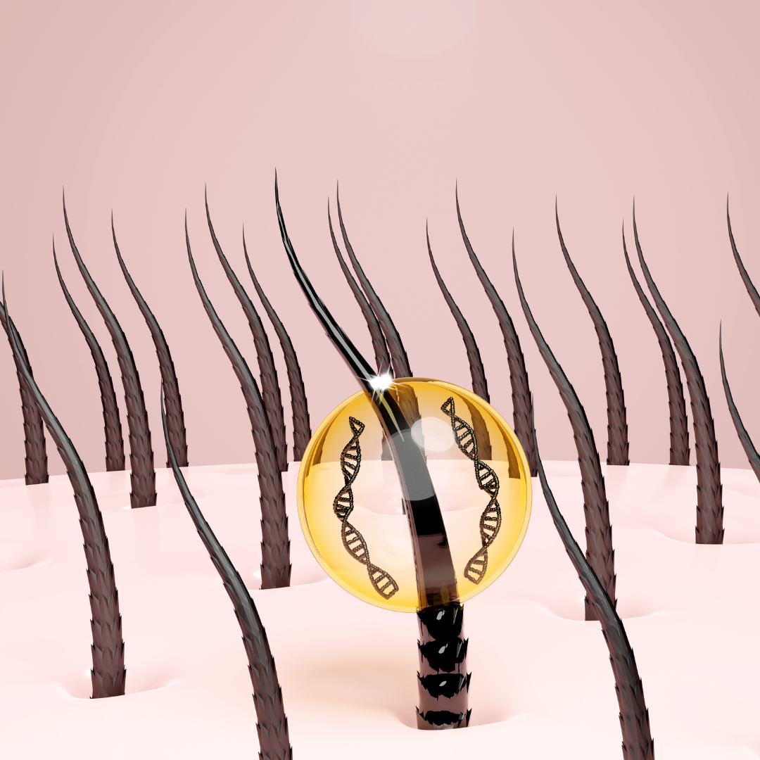 Productos capilares con proteínas para fortalecer el cabello | Casa del Estilista