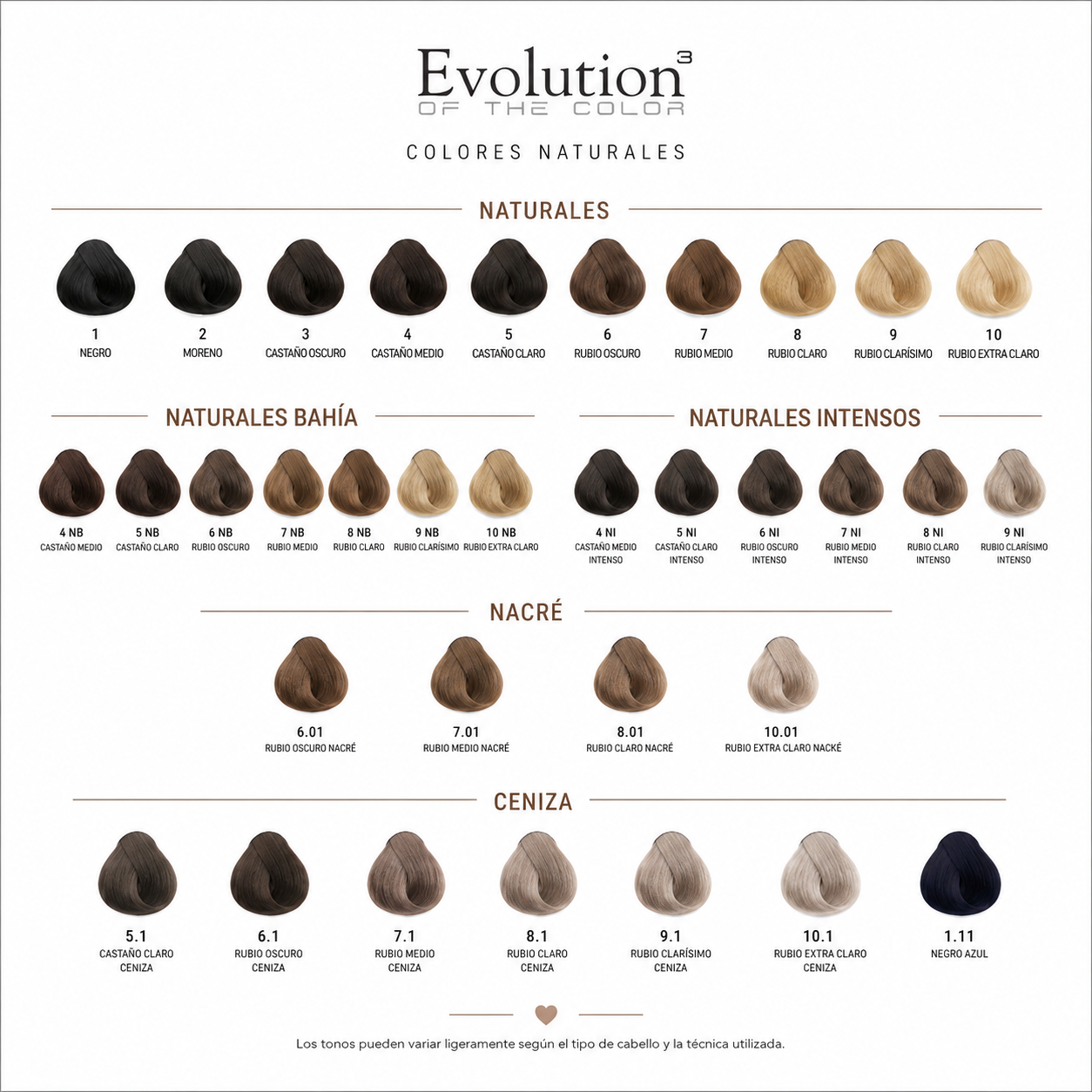 Tintura Evolution of Color de Alfaparf 60 ml. + Oxidante
