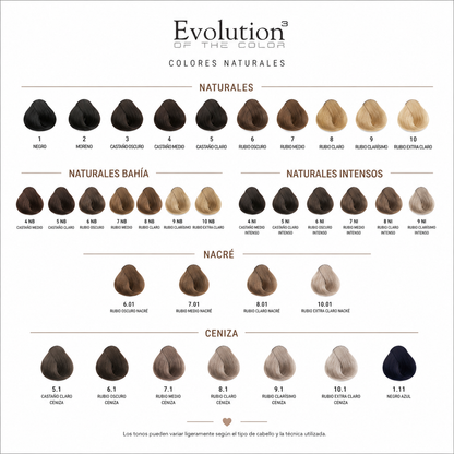Tintura Evolution of Color de Alfaparf 60 ml. + Oxidante