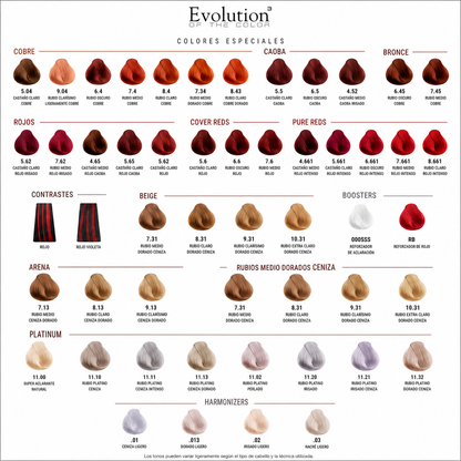 Tintura Evolution of Color de Alfaparf 60 ml. + Oxidante